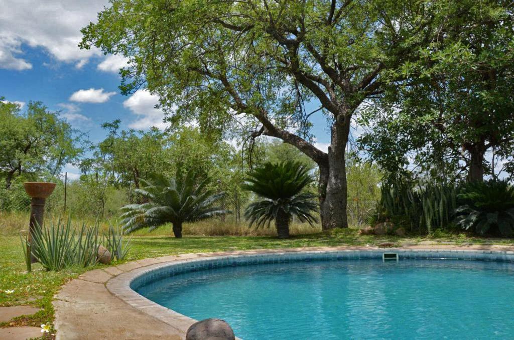 Tingala Lodge - Bed In The Bush Phalaborwa Extérieur photo