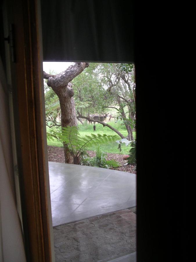 Tingala Lodge - Bed In The Bush Phalaborwa Extérieur photo